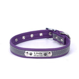 Personalized Pet Collar Customizable For Dogs and Cats