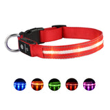 LED Pet Collars For Safety and Style