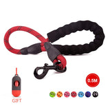 Nylon Rope Dog Leash Pet Leash 1.5M Long