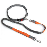 Hands Free Dog Leash With Waist Belt