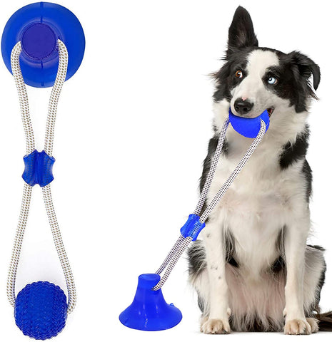 Interactive Chew Toy For Self Playing