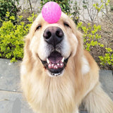 Flashing Bouncy Ball Toy For Dogs And Cats