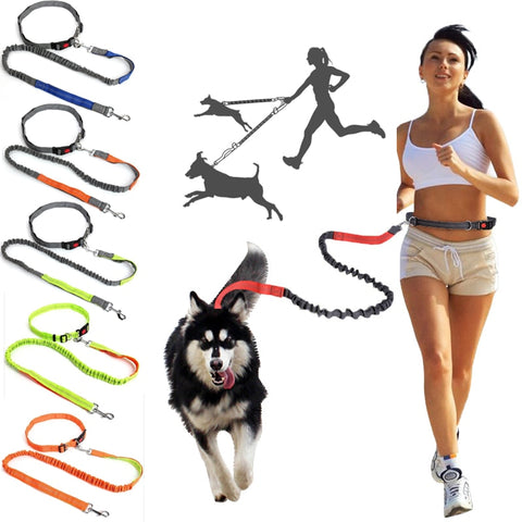 Hands Free Dog Leash With Waist Belt