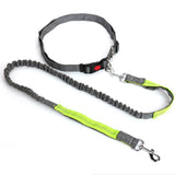 Hands Free Dog Leash With Waist Belt