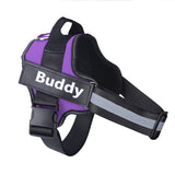 Customizable Dog Harness For Multi-Purpose Information