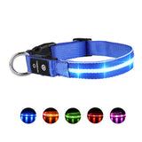 LED Pet Collars For Safety and Style