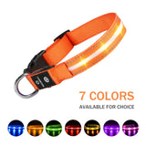 LED Pet Collars For Safety and Style