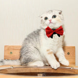 Adjustable Dog Bow Tie For Small Pets