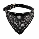 Neckerchief Bandana Pet Collar