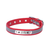 Personalized Pet Collar Customizable For Dogs and Cats