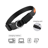 Glowing Dog Collar Anti-lost LED and Rechargeable