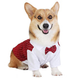 Dog Tuxedo For Wedding With Stylish Bow Tie