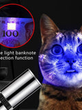 Cat Laser Pointer USB Rechargeable and Multifunctional