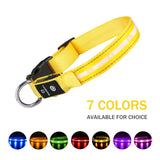 LED Pet Collars For Safety and Style