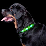 LED Pet Collars For Safety and Style