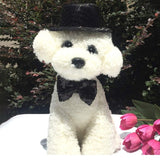 Dog Hat And Bow Tie Collar For Small Dogs and Cats