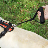 Durable Short Leash For Dogs Inside Small and Crowded Spaces