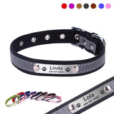 Personalized Pet Collar Customizable For Dogs and Cats