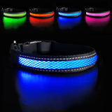 Glowing Dog Collar Anti-lost LED and Rechargeable