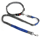 Hands Free Dog Leash With Waist Belt