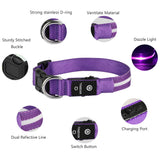 LED Pet Collars For Safety and Style