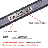 Personalized Pet Collar Customizable For Dogs and Cats