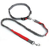 Hands Free Dog Leash With Waist Belt