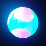 Glow Ball LED Dog Toy