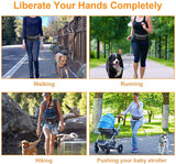 Hands Free Dog Leash With Waist Belt