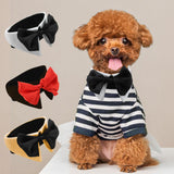 Adjustable Dog Bow Tie For Small Pets