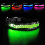 Glowing Dog Collar Anti-lost LED and Rechargeable