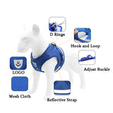 Cat Harness With Leash For Small Pets