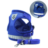 Cat Harness With Leash For Small Pets