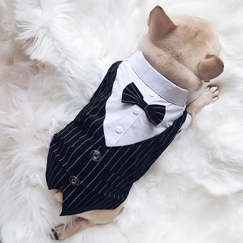 Dog Tuxedo For Wedding With Stylish Bow Tie