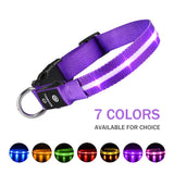 LED Pet Collars For Safety and Style