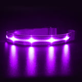 LED Pet Collars For Safety and Style