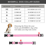 LED Pet Collars For Safety and Style