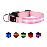 LED Pet Collars For Safety and Style