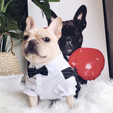 Dog Tuxedo For Wedding With Stylish Bow Tie