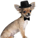 Dog Hat And Bow Tie Collar For Small Dogs and Cats