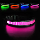 Glowing Dog Collar Anti-lost LED and Rechargeable