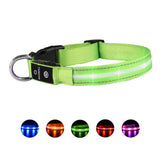 LED Pet Collars For Safety and Style