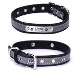 Personalized Pet Collar Customizable For Dogs and Cats