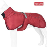 Labrador Winter Jacket For Large Dogs