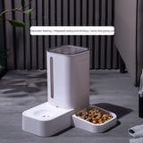 Automatic Cat and Dog Feeder With Water Dispenser
