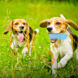 Bite Resistant Toy For Aggressive Dog Chewers and Large Dogs