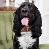 Handmade Brown Leather Dog Collar