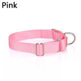 Standard Nylon Dog Collar