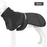 Labrador Winter Jacket For Large Dogs