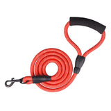 Dual Nylon Dog Leash